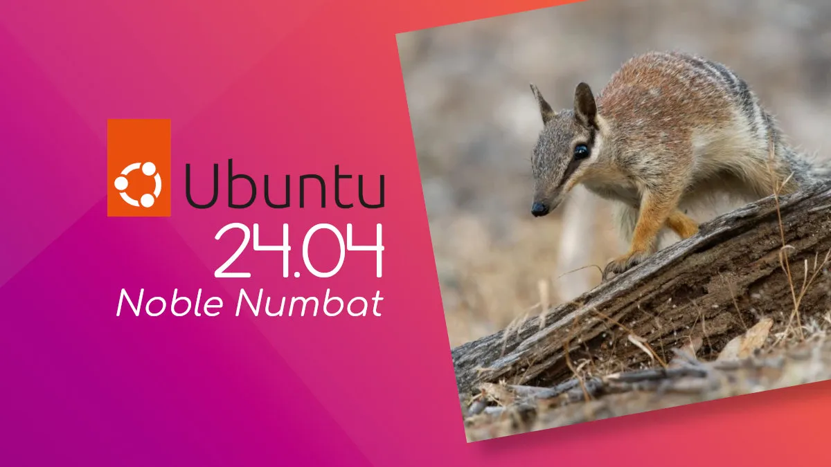 Resetting Root Password on Ubuntu 24.04 Linux